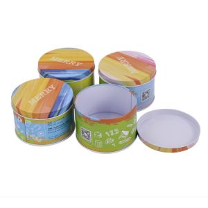Promotion Gift PMS Biscuit Tin Box Cookie Cylinder Food Can For Storage