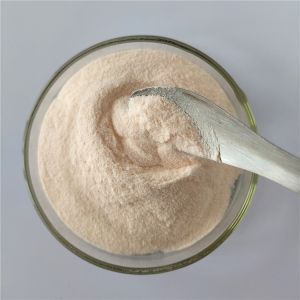 Wholesale Carica Papaya Fruit Juice Powder/Carica Papaya