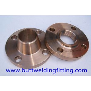 1-1/4'' Copper Nickel 90/10 Forged Steel Welding Neck Flange RF STD 150LB