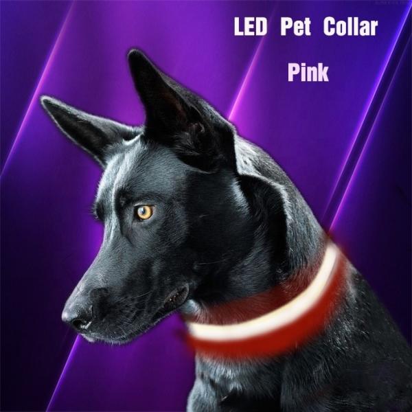 Buy Custom Nylon Glowing Rechargeable Usb Safety Dog LED Collars at wholesale prices