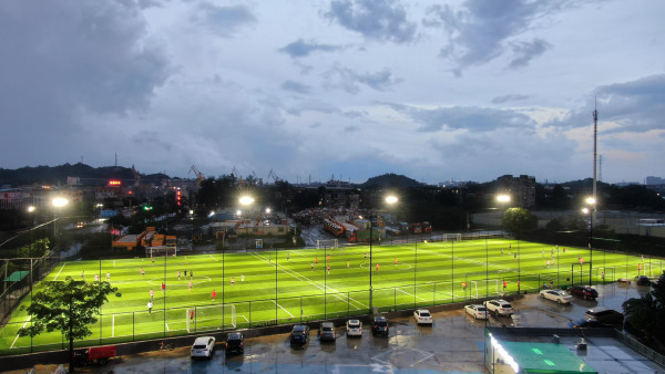 Buy Disease Resistant M Shape Artificial Turf Artificial Grass Rug 50mm Pile Height 8000-15000 Dtex at wholesale prices