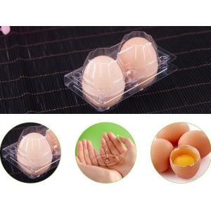 Hot Selling Plastic PET Sandwich Containers Cake Bread Container Plastic