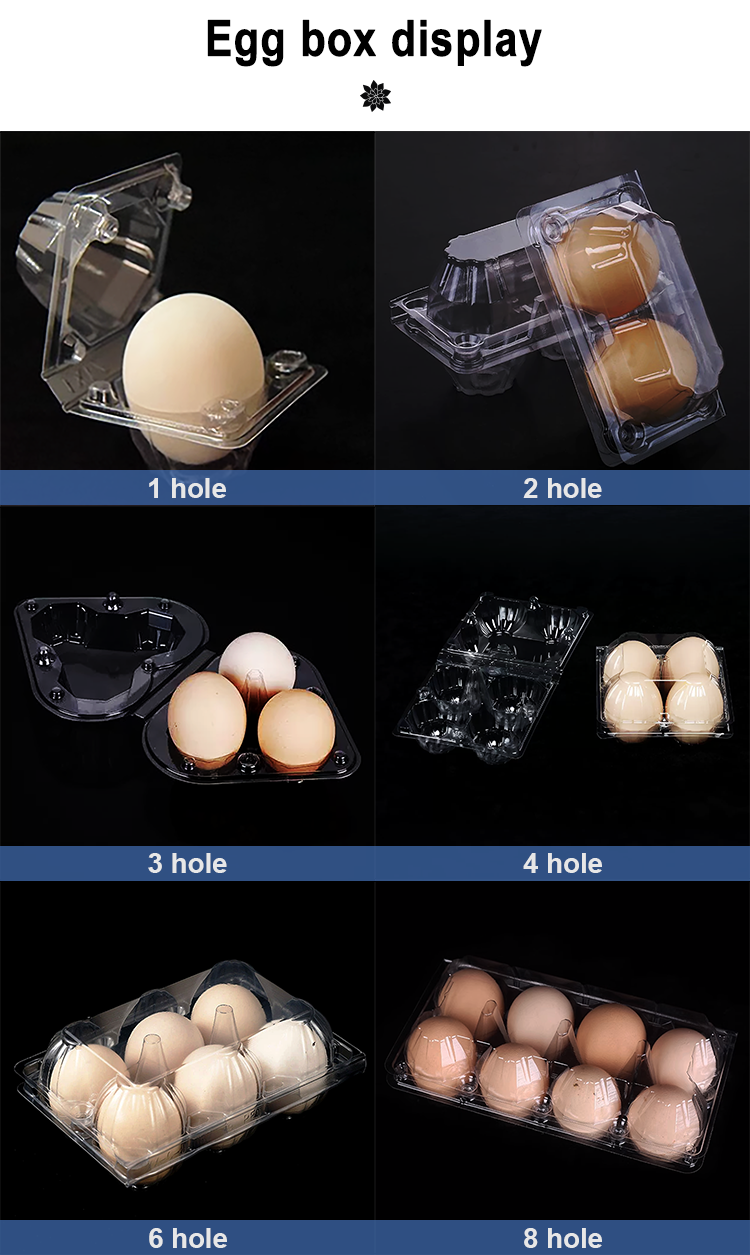 Transparent Plastic Egg Trays Egg Box Free Shipping Plastic Egg Tray with Handle Hot Selling Lightweight Portable Egg Carrier Durable 28/30-Egg Trays