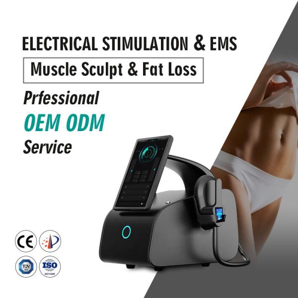 Magshape Body Slimming Ems Sculpting Machine 3000W