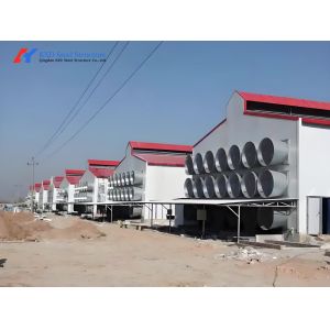 Galvanized Steel Piggery Shed Construction Steel Structure Chicken Shed