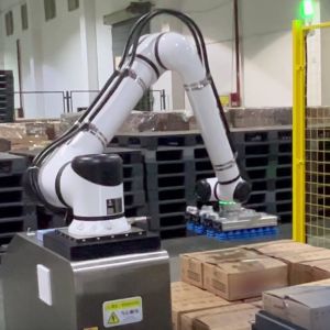 High Speed Huayan Robotics S20 S30 S40 S50 Heavy Payload Cobot Handling