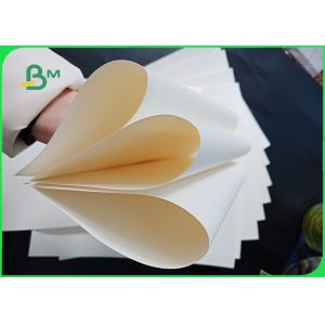 Tear Proof Polyethylene Coated Paper Biodegradable 160gsm With 10 PE Film