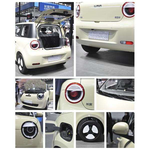 Changan Lumin Stock Luxury 4-Wheel Electric Car 301km Range 101km/h Mini Electric Vehicle with Pure Electric Energy Type