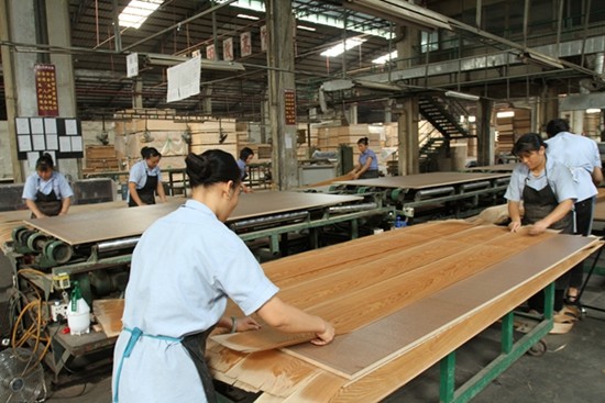 Custom Fancy Plywood Board / Pine Veneer Plywood OEM Support