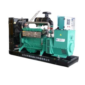 100kw 200kw Natural Gas Generator Biogas Generator