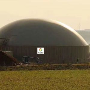 Dung Biogas Plant Project UASB Anaerobic Digestion Power Plant