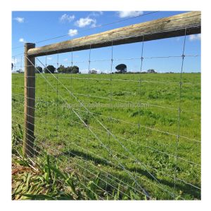 Length 10-200m Agriculture Field Livestock Wire Fence with Durable Fixed Knot