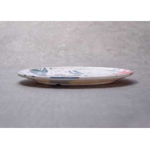 Toxic Free Shatterproof Round Melamine Plate Set