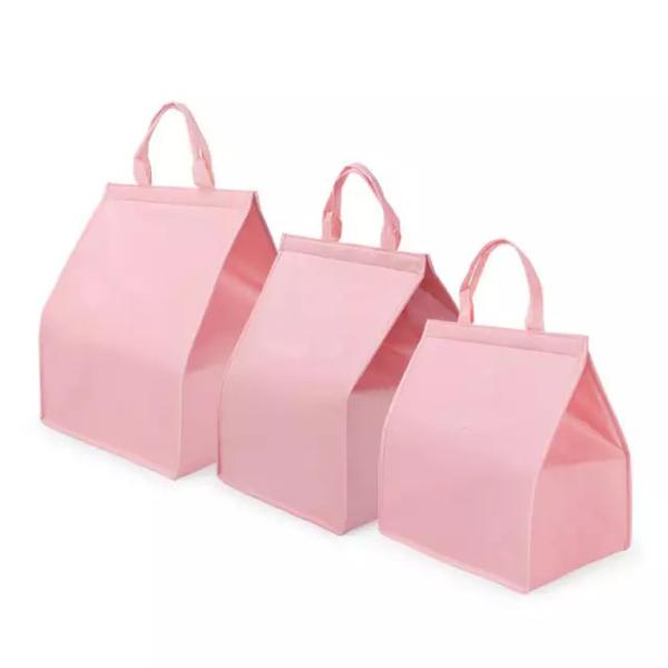 Buy PE FOAM Nonwoven Fabric Insulated Cooler Tote For Seafood at wholesale prices