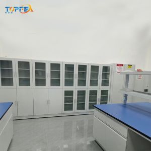 China Laboratory Storage Babinet 900*450*1800mm for Storage Solutions and Organization on sale