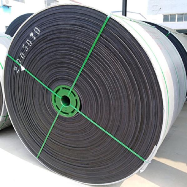 Buy EP100 EP200 Special Conveyor Belts Chemical Resistant W700mm at wholesale prices