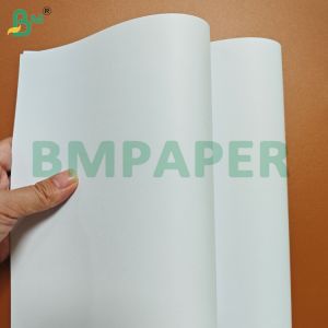 260GSM High Stiffness Wood-free Paper Sheets for Offset Printing