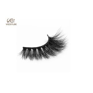 Human Hair Fan Shaped 34MM Natural Multipack Eyelashes