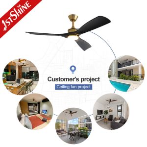 52-Inch Modern LED Ceiling Fan with DC Motor, Black ABS Blades