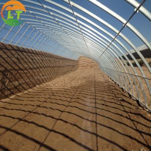 Single Layer Agricultural Tomato Greenhouse Optimal Ventilation Guaranteed