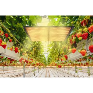 Dimmable AC 265V SMD2835 Quantum Board Led Grow Lights