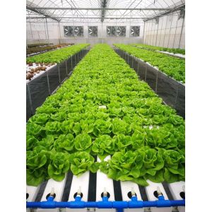 NFT System Vertical Hydroponics Garden Automatic Humidity Control