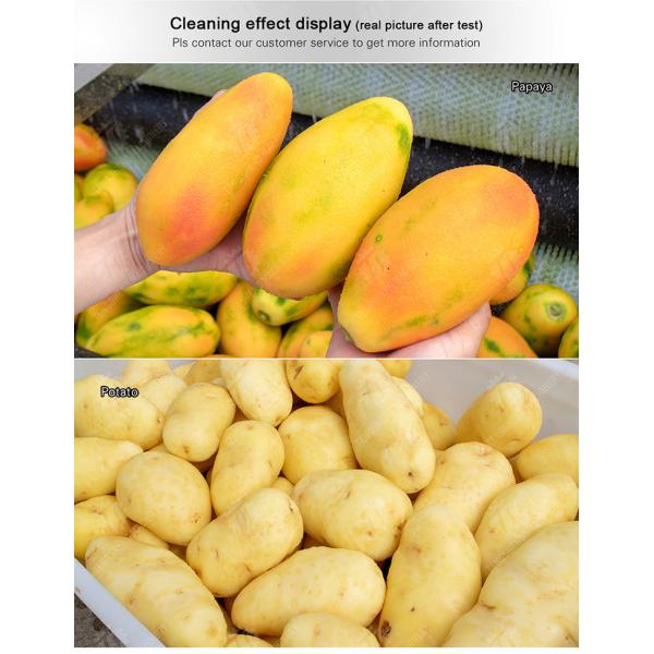 Wash Washer Washing Cleaning processing production Destoning Sealed Cover Type Peeling Machine Ginger Potato Carrot Taro Sweet potato Yam Saiko