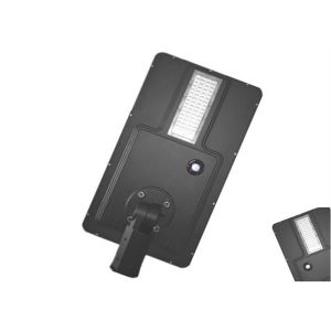 Day Light All In One LED Solar Street Light 40W Integrated With Motion Sensor