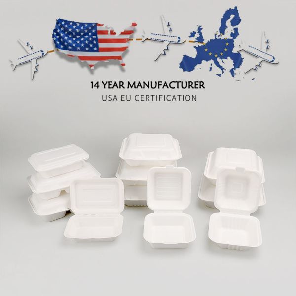 Buy Compostable Biodegradable Food Containers for Takeaway & To-Go Packaging at wholesale prices