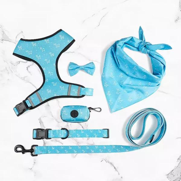 Buy Custom Reflective Comfortable Pet Harness Set Dog Leash at wholesale prices