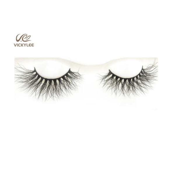 Buy Curly Mink Fan Shaped 8D Dramatic Wispy Lashes at wholesale prices