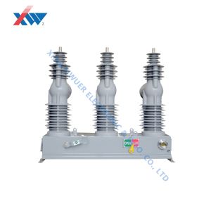 Mechanical Endurance 10000 Times 24kV Permanent Magnetic Mechanism Vacuum