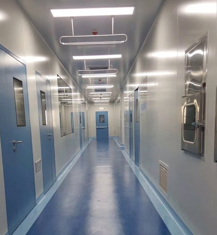 Industrial Steel Structure Isolation Room for Pharmaceutical Storage and Distribution