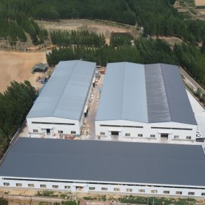 Prefabricated Steel Frame Building for Warehouse and Factory