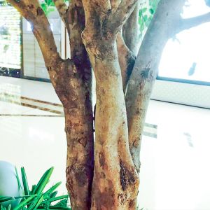 B Style Large Artificial Ficus Tree Custom Height Shopping Mall Foliage Tree