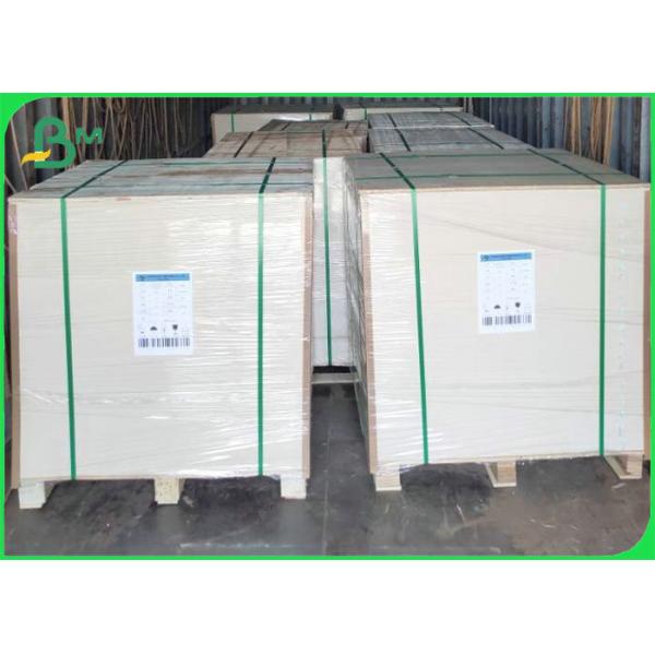 Food Grade 250gsm 300gsm White Top Kraft Back Paper Printable Food Packaging