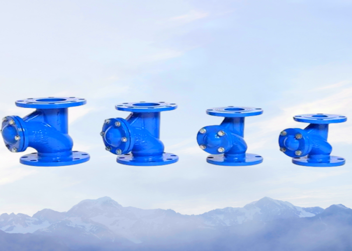 OEM ODM Flange Check Valve PN16 DN100 Ductile Iron Check Valve