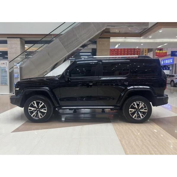 Popular Tank 300 2021 City Edition 2.0T Very stylish Gasoline Chinese Vehicle