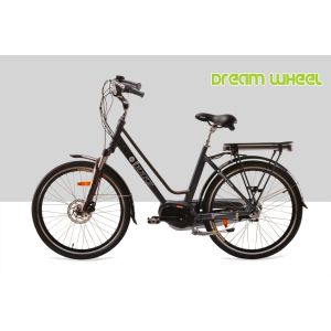 250W 36V Urban City Electric Bike 7.8Ah Samsung Cells