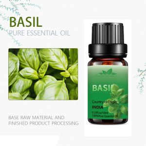 1000ml Sweet Basil Essential Oil Aromatherapy Massage Oil OEM USDA