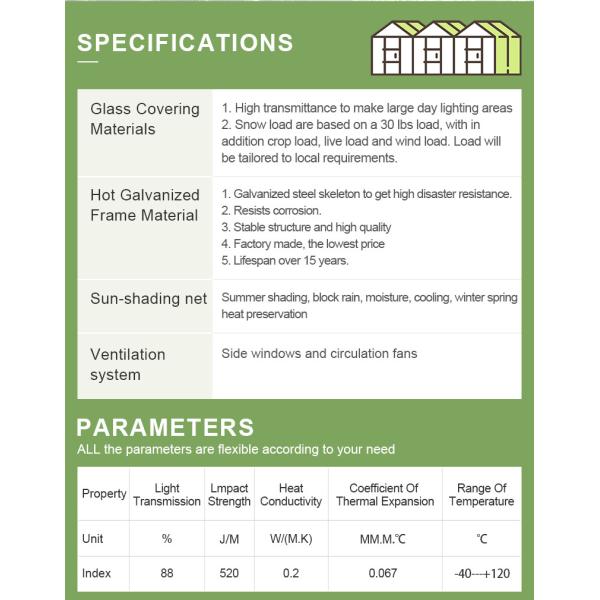 Hot Galvanzied Steel Pipe Agricultural Venlo Glasshouse Turnkey Project