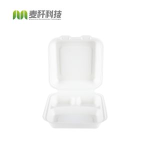 Biodegradable Meal Disposable Biodegradable Compostable Tray Bento Lunch Meal