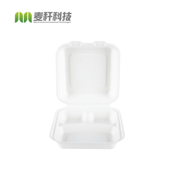 Biodegradable Meal Disposable Biodegradable Compostable Tray Bento Lunch Meal