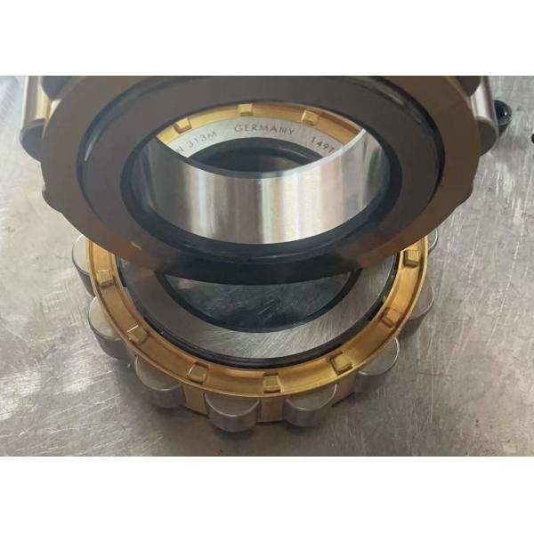 Buy OEM Cylinder Roller Bearing RN313M Size 65*124.5*33MM RN313 at wholesale prices