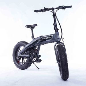 20 Inch 350W Electric Folding Fat Bike CE Certificate Waterproof In Rain
