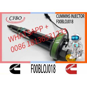 MTU2000 Common Rail Diesel Injector MTU F0013L0J004 F00BL0J005 F00BL05011