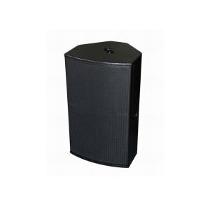 Professional Black Live Sound Speakers Plywood Cabinet For Living Event