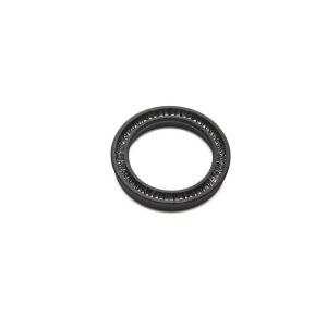 Spring Energized Oil Lip Seal Chemical Resistance Long Duration For Automotive