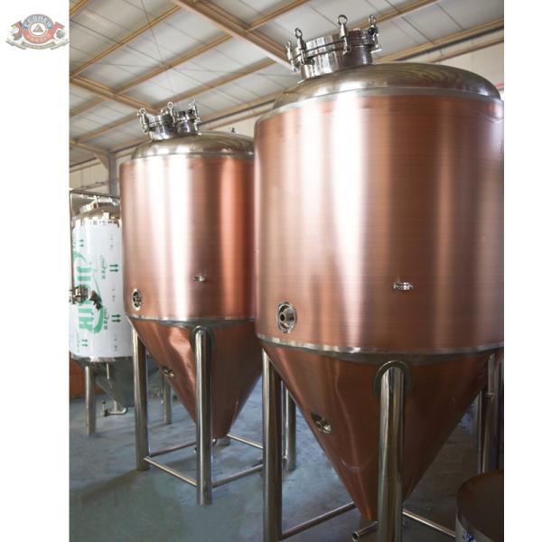 500L copper beer brewery equipment with 1000L unitanks for brewpub microbrewery with German standard
