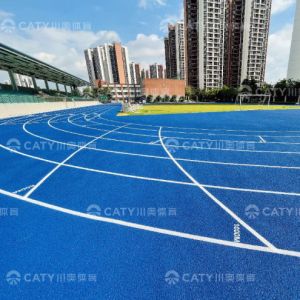China Iaaf Polyurethane Athletic Track And Field Materials EPDM Granules For School Playground on sale